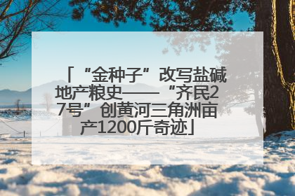“金种子”改写盐碱地产粮史——“齐民27号”创黄河三角洲亩产1200斤奇迹